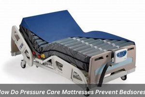 Best Mattress to Prevent Bed Sores: Comfort & Relief Organic & Natural Mattress Buyer’s Guide: Non-Toxic Sleep Solutions Best Mattress to Prevent Bed Sores: Comfort & Relief | Organic & Natural Mattress Buyer’s Guide: Non-Toxic Sleep Solutions