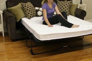 Upgrade Your Sleeper: Replacement Sofa Bed Mattress Options | Organic & Natural Mattress Buyer’s Guide: Non-Toxic Sleep Solutions