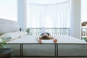 Nest Bedding Mattress: Dream Sleep Awaits! | Organic & Natural Mattress Buyer’s Guide: Non-Toxic Sleep Solutions