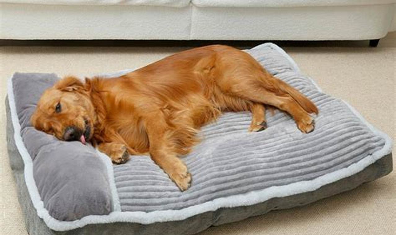 Best Bed Mattress for Dogs: Comfy & Durable! | Organic & Natural Mattress Buyer’s Guide: Non-Toxic Sleep Solutions