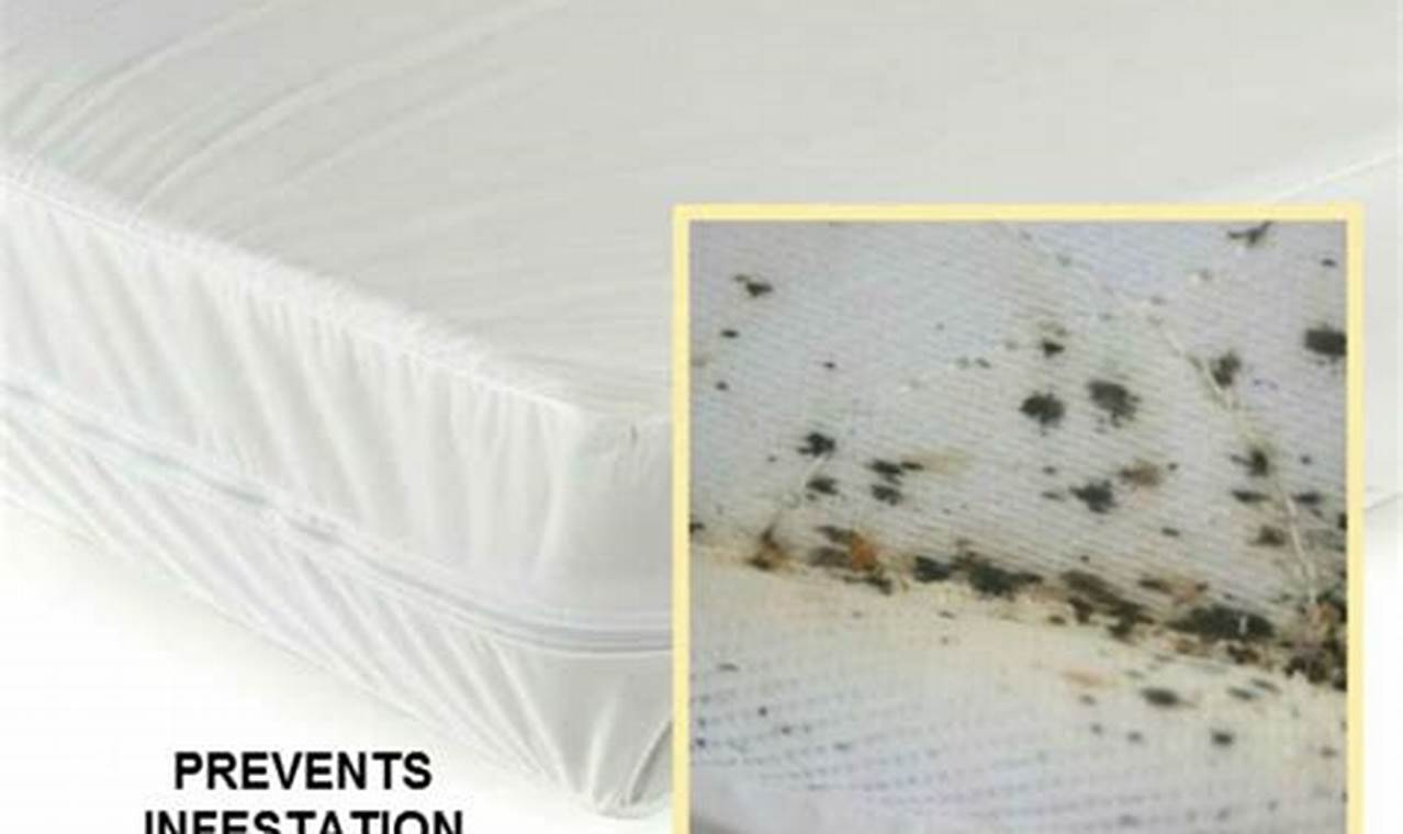 Shop Bed Bug Resistant Mattress Now: Protect Your Bed! | Organic & Natural Mattress Buyer’s Guide: Non-Toxic Sleep Solutions