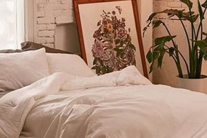 Is a Mattress on Floor Bed Right For You? Pros & Cons | Organic & Natural Mattress Buyer’s Guide: Non-Toxic Sleep Solutions