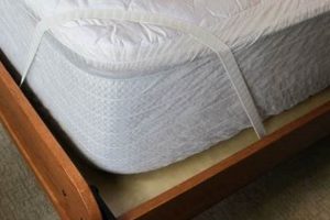 Securing Your Sleep: Best Murphy Bed Mattress Straps Guide Organic & Natural Mattress Buyer’s Guide: Non-Toxic Sleep Solutions Securing Your Sleep: Best Murphy Bed Mattress Straps Guide | Organic & Natural Mattress Buyer’s Guide: Non-Toxic Sleep Solutions