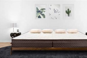 Ultimate Alaskan King Bed Mattress Guide + Benefits Organic & Natural Mattress Buyer’s Guide: Non-Toxic Sleep Solutions Ultimate Alaskan King Bed Mattress Guide + Benefits | Organic & Natural Mattress Buyer’s Guide: Non-Toxic Sleep Solutions