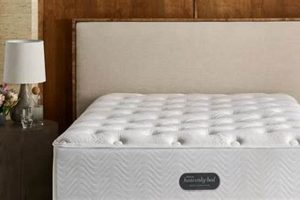 Get Heavenly Sleep: Westin Bed Mattress Comfort | Organic & Natural Mattress Buyer’s Guide: Non-Toxic Sleep Solutions