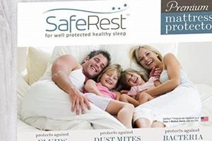 Bed Bug Proofing: Protecting Your Mattress [Guide] | Organic & Natural Mattress Buyer’s Guide: Non-Toxic Sleep Solutions