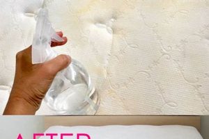 Quick Guide: How to Clean a Stain on Your Mattress Easily Organic & Natural Mattress Buyer’s Guide: Non-Toxic Sleep Solutions Quick Guide: How to Clean a Stain on Your Mattress Easily | Organic & Natural Mattress Buyer’s Guide: Non-Toxic Sleep Solutions