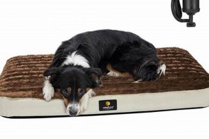 Elevated Comfort: Cot Mattress Dog Bed Solutions Organic & Natural Mattress Buyer’s Guide: Non-Toxic Sleep Solutions Elevated Comfort: Cot Mattress Dog Bed Solutions | Organic & Natural Mattress Buyer’s Guide: Non-Toxic Sleep Solutions