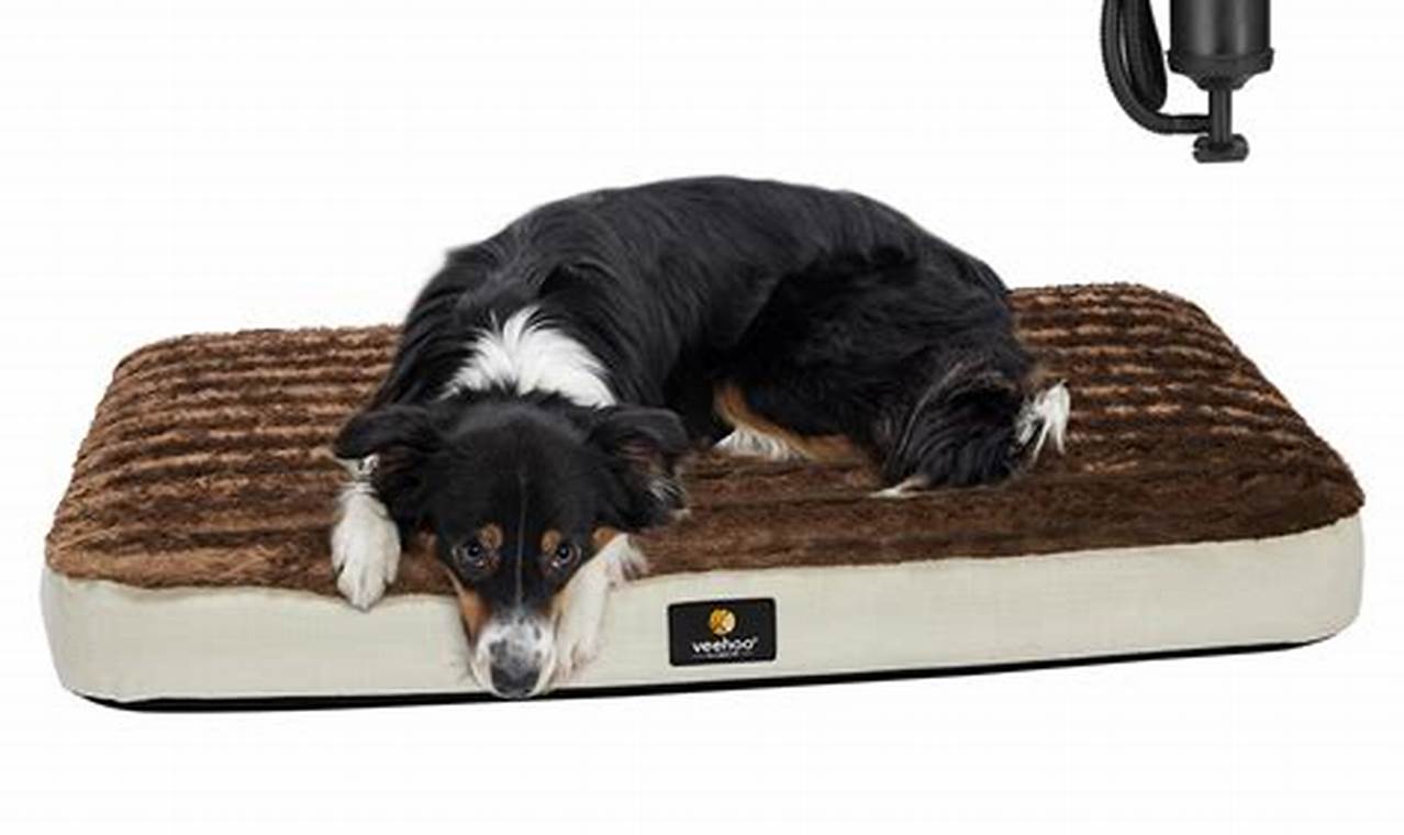 Elevated Comfort: Cot Mattress Dog Bed Solutions Organic & Natural Mattress Buyer’s Guide: Non-Toxic Sleep Solutions Elevated Comfort: Cot Mattress Dog Bed Solutions | Organic & Natural Mattress Buyer’s Guide: Non-Toxic Sleep Solutions