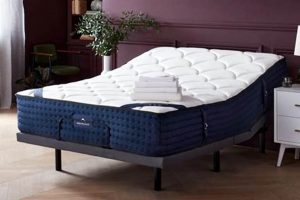 Adjustable Bed Guide: Can You Use a Regular Mattress? Tips Organic & Natural Mattress Buyer’s Guide: Non-Toxic Sleep Solutions Adjustable Bed Guide: Can You Use a Regular Mattress? Tips | Organic & Natural Mattress Buyer’s Guide: Non-Toxic Sleep Solutions