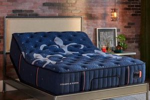 Top-Rated Stearns & Foster Mattress: Find Your Best Sleep! Organic & Natural Mattress Buyer’s Guide: Non-Toxic Sleep Solutions Top-Rated Stearns & Foster Mattress: Find Your Best Sleep! | Organic & Natural Mattress Buyer’s Guide: Non-Toxic Sleep Solutions