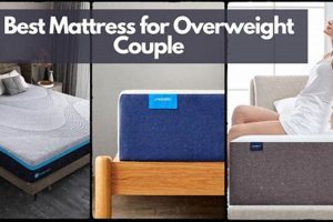 Top Rated: Best Mattress for Overweight Couple - Guide Organic & Natural Mattress Buyer’s Guide: Non-Toxic Sleep Solutions Top Rated: Best Mattress for Overweight Couple - Guide | Organic & Natural Mattress Buyer’s Guide: Non-Toxic Sleep Solutions