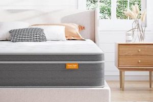 Top-Rated Best Edge Support Mattress {Year} Guide Organic & Natural Mattress Buyer’s Guide: Non-Toxic Sleep Solutions Top-Rated Best Edge Support Mattress {Year} Guide | Organic & Natural Mattress Buyer’s Guide: Non-Toxic Sleep Solutions