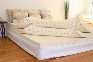 Top-Rated Best Natural Latex Mattress For Superior Sleep Organic & Natural Mattress Buyer’s Guide: Non-Toxic Sleep Solutions Top-Rated Best Natural Latex Mattress For Superior Sleep | Organic & Natural Mattress Buyer’s Guide: Non-Toxic Sleep Solutions