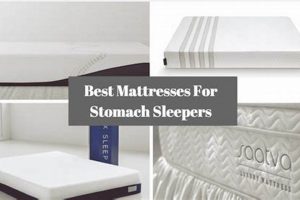 Top-Rated Best Mattress for Stomach Sleepers [2024] | Organic & Natural Mattress Buyer’s Guide: Non-Toxic Sleep Solutions