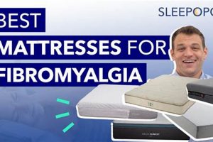 Top-Rated Best Mattress for Fibromyalgia Relief [2024] | Organic & Natural Mattress Buyer’s Guide: Non-Toxic Sleep Solutions