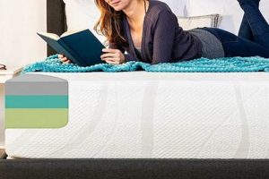 Top Rated Best Plush Mattress: Soft Sleep Bliss Safem Fabrication - Precision Engineering & Custom Manufacturing Solutions Top Rated Best Plush Mattress: Soft Sleep Bliss | Safem Fabrication - Precision Engineering & Custom Manufacturing Solutions