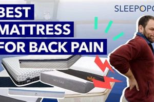 Top Pillow Top Mattress for Back Pain [Best 2024] | Organic & Natural Mattress Buyer’s Guide: Non-Toxic Sleep Solutions