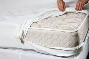 Top-Rated Best Bed Bug Mattress Covers Today's Deals Organic & Natural Mattress Buyer’s Guide: Non-Toxic Sleep Solutions Top-Rated Best Bed Bug Mattress Covers Today's Deals | Organic & Natural Mattress Buyer’s Guide: Non-Toxic Sleep Solutions