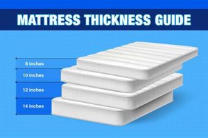 Find Your Ideal: Best Thickness for Mattress Comfort Guide Organic & Natural Mattress Buyer’s Guide: Non-Toxic Sleep Solutions Find Your Ideal: Best Thickness for Mattress Comfort Guide | Organic & Natural Mattress Buyer’s Guide: Non-Toxic Sleep Solutions