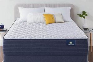 Top Rated: Best Queen Mattress Under $1000 - Guide! Organic & Natural Mattress Buyer’s Guide: Non-Toxic Sleep Solutions Top Rated: Best Queen Mattress Under $1000 - Guide! | Organic & Natural Mattress Buyer’s Guide: Non-Toxic Sleep Solutions