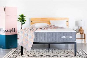 Top Rated: Best Mattress Under $500 For Comfort Sleep Organic & Natural Mattress Buyer’s Guide: Non-Toxic Sleep Solutions Top Rated: Best Mattress Under $500 For Comfort Sleep | Organic & Natural Mattress Buyer’s Guide: Non-Toxic Sleep Solutions