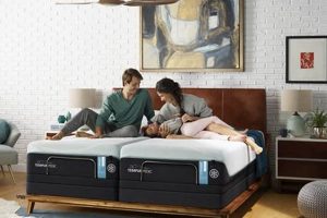 Top Rated Best Mattress with Adjustable Base Systems for Sleep Organic & Natural Mattress Buyer’s Guide: Non-Toxic Sleep Solutions Top Rated Best Mattress with Adjustable Base Systems for Sleep | Organic & Natural Mattress Buyer’s Guide: Non-Toxic Sleep Solutions