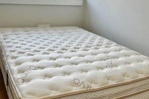 Top-Rated Best Firm Mattress For Back Support + Guide Organic & Natural Mattress Buyer’s Guide: Non-Toxic Sleep Solutions Top-Rated Best Firm Mattress For Back Support + Guide | Organic & Natural Mattress Buyer’s Guide: Non-Toxic Sleep Solutions