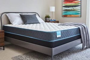 Find Your Best High End Mattress for Luxury Sleep Organic & Natural Mattress Buyer’s Guide: Non-Toxic Sleep Solutions Find Your Best High End Mattress for Luxury Sleep | Organic & Natural Mattress Buyer’s Guide: Non-Toxic Sleep Solutions