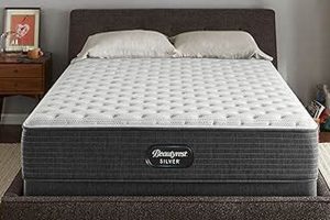 Top-Rated Best Mattress on Amazon CA Reddit: Sleep Soundly! Organic & Natural Mattress Buyer’s Guide: Non-Toxic Sleep Solutions Top-Rated Best Mattress on Amazon CA Reddit: Sleep Soundly! | Organic & Natural Mattress Buyer’s Guide: Non-Toxic Sleep Solutions
