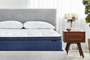 Top-Rated Affordable Mattress for Platform Bed Frames in 2024 Organic & Natural Mattress Buyer’s Guide: Non-Toxic Sleep Solutions Top-Rated Affordable Mattress for Platform Bed Frames in 2024 | Organic & Natural Mattress Buyer’s Guide: Non-Toxic Sleep Solutions