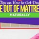 Easy Clean: How to Clean Dog Urine Out of Mattress Fast! | Organic & Natural Mattress Buyer’s Guide: Non-Toxic Sleep Solutions