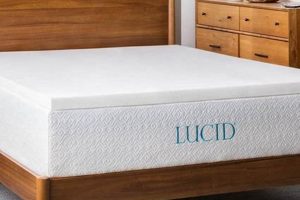 Enhance Your XL Bed: Lucid Twin XL Mattress Topper Review Organic & Natural Mattress Buyer’s Guide: Non-Toxic Sleep Solutions Enhance Your XL Bed: Lucid Twin XL Mattress Topper Review | Organic & Natural Mattress Buyer’s Guide: Non-Toxic Sleep Solutions