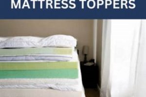 Find Your Best Type of Mattress Topper: Ultimate Guide Organic & Natural Mattress Buyer’s Guide: Non-Toxic Sleep Solutions Find Your Best Type of Mattress Topper: Ultimate Guide | Organic & Natural Mattress Buyer’s Guide: Non-Toxic Sleep Solutions