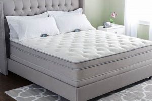 Top Rated: Best Adjustable Air Bed Mattress [2024] | Organic & Natural Mattress Buyer’s Guide: Non-Toxic Sleep Solutions