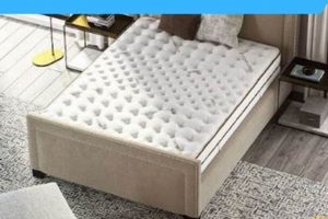 Find Your Best Orthopaedic Mattress: [Guide & Reviews] | Organic & Natural Mattress Buyer’s Guide: Non-Toxic Sleep Solutions
