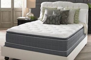 Top-Rated Best Firm Pillow Top Mattress for Back Support Organic & Natural Mattress Buyer’s Guide: Non-Toxic Sleep Solutions Top-Rated Best Firm Pillow Top Mattress for Back Support | Organic & Natural Mattress Buyer’s Guide: Non-Toxic Sleep Solutions