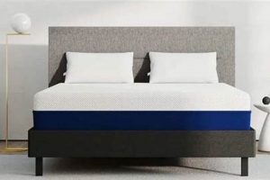Top Value: Best Mattress on Budget Buys (2024) Organic & Natural Mattress Buyer’s Guide: Non-Toxic Sleep Solutions Top Value: Best Mattress on Budget Buys (2024) | Organic & Natural Mattress Buyer’s Guide: Non-Toxic Sleep Solutions