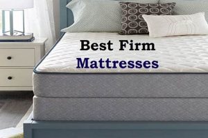 Top Rated Best Firmest Mattress [Guide] | Organic & Natural Mattress Buyer’s Guide: Non-Toxic Sleep Solutions