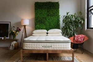 Eco Sleep: Best Eco Friendly Mattress [Top Picks] | Organic & Natural Mattress Buyer’s Guide: Non-Toxic Sleep Solutions