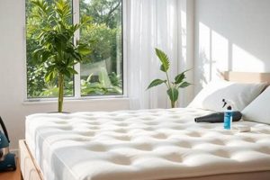 Top-Rated Best Mattress Cleaning Singapore Services Organic & Natural Mattress Buyer’s Guide: Non-Toxic Sleep Solutions Top-Rated Best Mattress Cleaning Singapore Services | Organic & Natural Mattress Buyer’s Guide: Non-Toxic Sleep Solutions