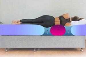 Top Rated Best Mattress for Back Support Reviews & Guide Organic & Natural Mattress Buyer’s Guide: Non-Toxic Sleep Solutions Top Rated Best Mattress for Back Support Reviews & Guide | Organic & Natural Mattress Buyer’s Guide: Non-Toxic Sleep Solutions