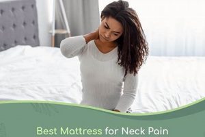 Top-Rated Best Mattress for Neck Pain Relief [Guide] | Organic & Natural Mattress Buyer’s Guide: Non-Toxic Sleep Solutions