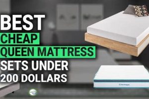 Value Pick: Best Cheap Queen Mattress Deals Today! Organic & Natural Mattress Buyer’s Guide: Non-Toxic Sleep Solutions Value Pick: Best Cheap Queen Mattress Deals Today! | Organic & Natural Mattress Buyer’s Guide: Non-Toxic Sleep Solutions