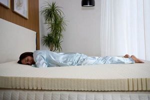 Top-Rated Best Mattress for Belly Sleepers Reviews Organic & Natural Mattress Buyer’s Guide: Non-Toxic Sleep Solutions Top-Rated Best Mattress for Belly Sleepers Reviews | Organic & Natural Mattress Buyer’s Guide: Non-Toxic Sleep Solutions