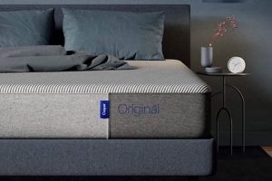 Find the Best Casper Mattress for Stomach Sleepers in 2024 Organic & Natural Mattress Buyer’s Guide: Non-Toxic Sleep Solutions Find the Best Casper Mattress for Stomach Sleepers in 2024 | Organic & Natural Mattress Buyer’s Guide: Non-Toxic Sleep Solutions