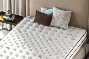 Find The Best Softest Mattress For Your Dream Sleep Now! Organic & Natural Mattress Buyer’s Guide: Non-Toxic Sleep Solutions Find The Best Softest Mattress For Your Dream Sleep Now! | Organic & Natural Mattress Buyer’s Guide: Non-Toxic Sleep Solutions