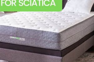 Top-Rated Best Mattress for Sciatica: Sleep Pain-Free Organic & Natural Mattress Buyer’s Guide: Non-Toxic Sleep Solutions Top-Rated Best Mattress for Sciatica: Sleep Pain-Free | Organic & Natural Mattress Buyer’s Guide: Non-Toxic Sleep Solutions