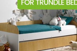 Top Trundle Bed Mattress: Best Picks for Space & Sleep! Organic & Natural Mattress Buyer’s Guide: Non-Toxic Sleep Solutions Top Trundle Bed Mattress: Best Picks for Space & Sleep! | Organic & Natural Mattress Buyer’s Guide: Non-Toxic Sleep Solutions