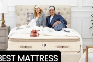 Top-Rated Best Mattress for Hip Pain Relief [2024] | Organic & Natural Mattress Buyer’s Guide: Non-Toxic Sleep Solutions